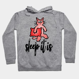 sleep it is cat Hoodie